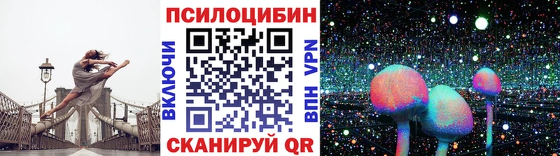 где купить наркоту  Балтийск  Псилоцибиновые грибы Cubensis 