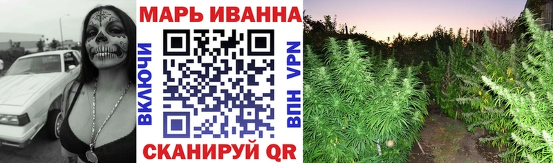 Бошки Шишки план  Балтийск 
