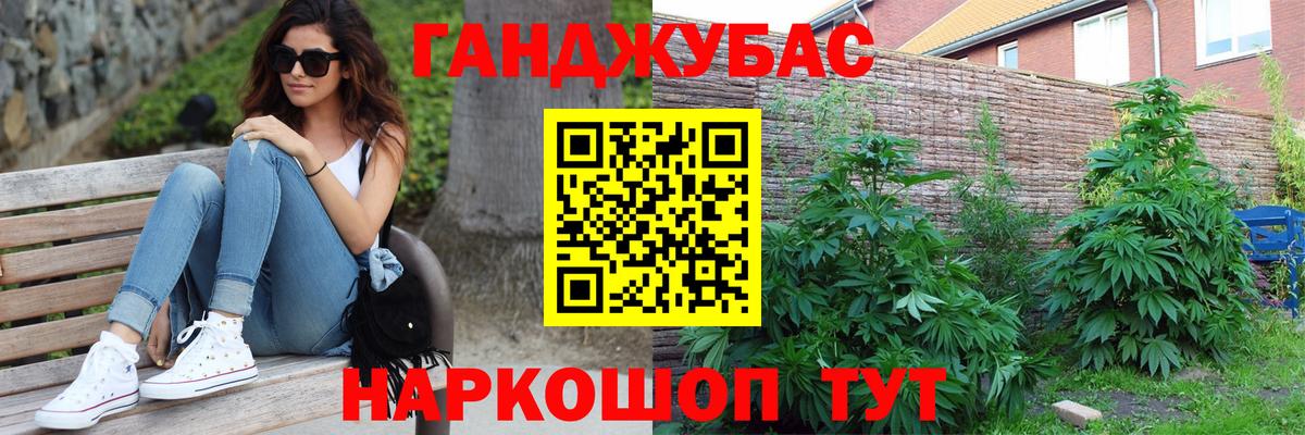 Балтийск  Бошки марихуана конопля  Каннабис индика  Конопля планчик  Вход с VPN  Бошки Шишки OG Kush 